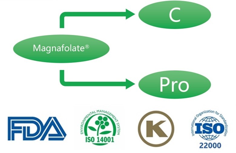 Magnafolate Calcium L-5-methyltetrahydrofolate